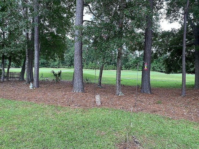 Photo of 31 Yonges Island Dr, Bluffton, SC