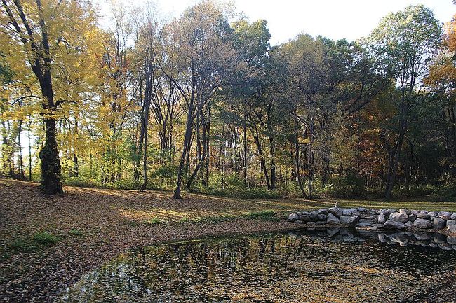 Photo of 0 Reflection Pond Dr Lot 7, Middleville, MI