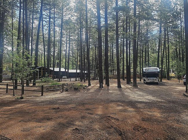 Photo of 1341 S Clay Dr, Pinetop, AZ