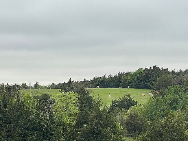 Image of 17375 Senne Rd