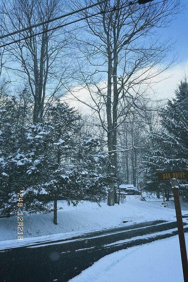 Photo of 115 Teak Dr, Greentown, PA