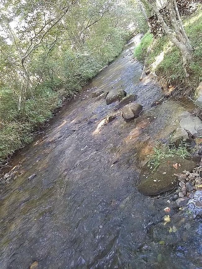 Image of 250 Holiness Church Rd