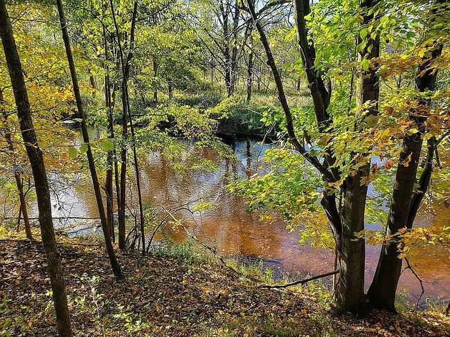 Photo of 0 Chicory Ln Lot# 29, Portland, MI