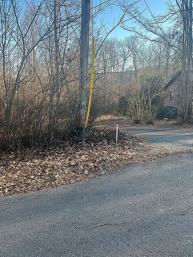 Image of Beechwood Ln