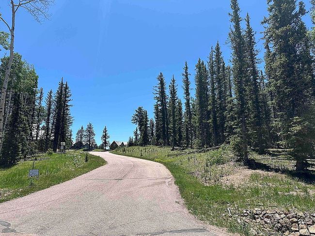 Photo of 404 Silvermoon Hts, Divide, CO