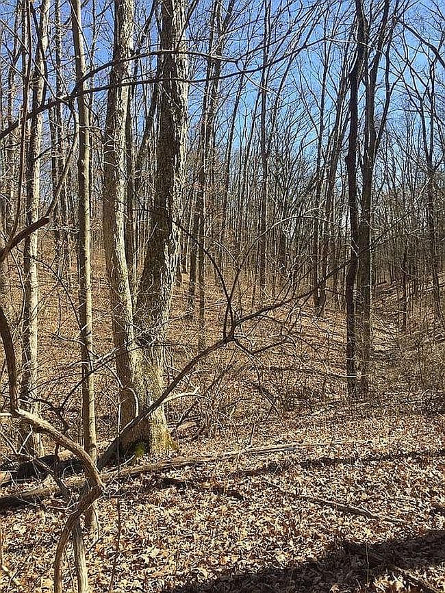 Image of 10818 Marvin Rd