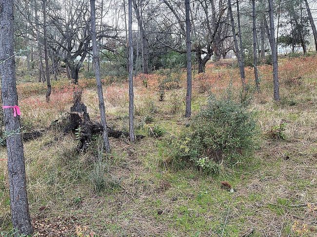 Photo of 4672 Iroquois Trl, Kelseyville, CA
