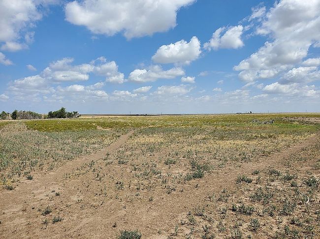 Image of 2685 Mile 52 Rd