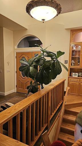 Preview of property located at 848 Burlando Rd