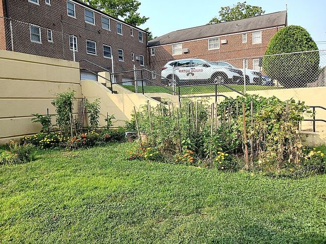 Image of 6019 Marathon Pkwy #2