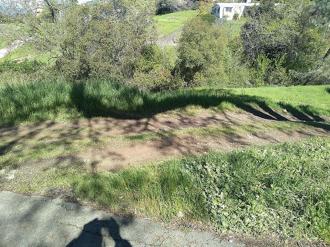 Image of 4231 Foothill Dr