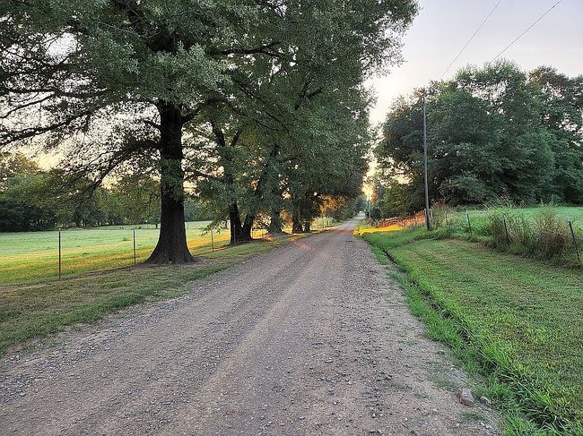 Photo of 10200 Digger Ln, Ola, AR