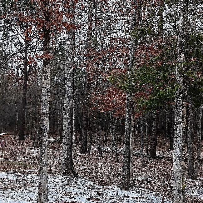 Image of 3436 Highway 34