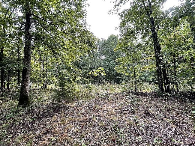 Image of 0 School House Rd