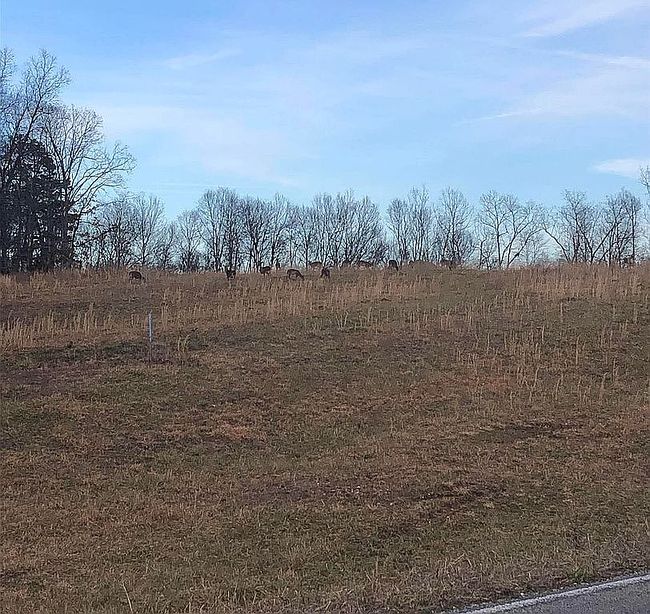 Image of 1479 Railroad Bed Rd