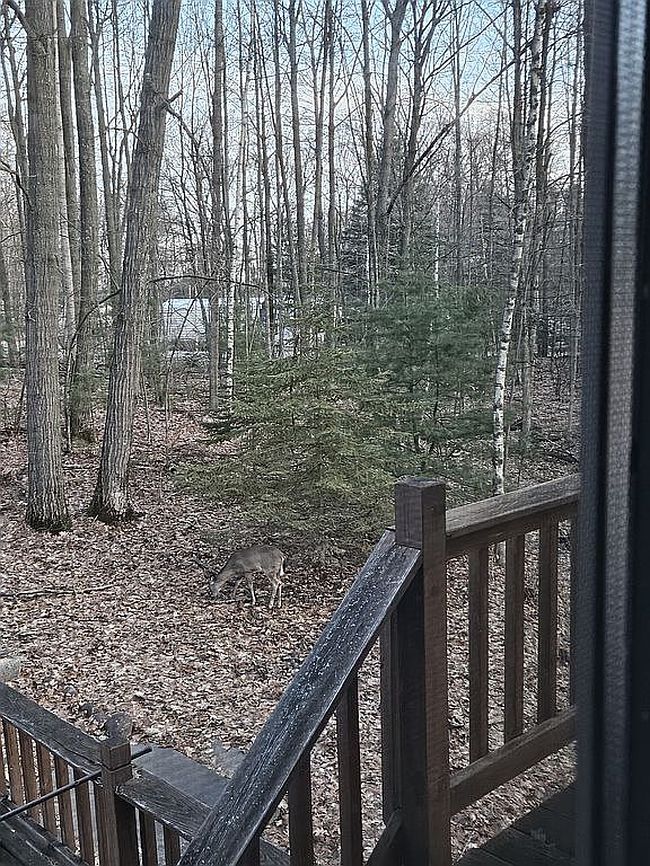 Image of 405 Crestview Rd