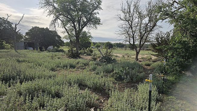 Image of 101 Private Road 942 Rd #942