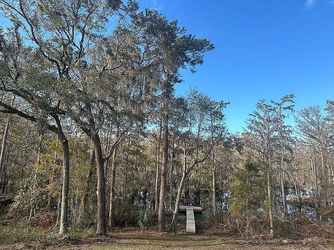 Image of 5035 Cypress Lake Dr