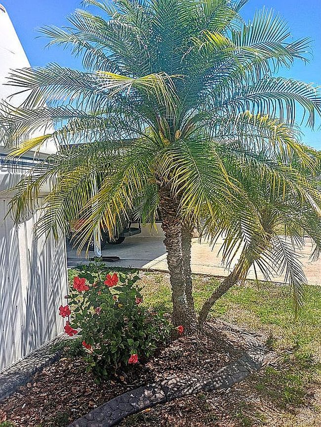 Image of 48 Angelfish Dr