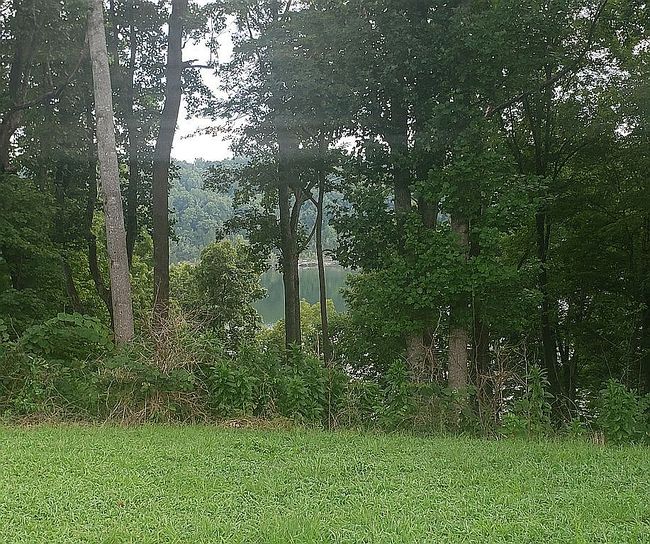 Image of 1254 Green Hill Estates Rd