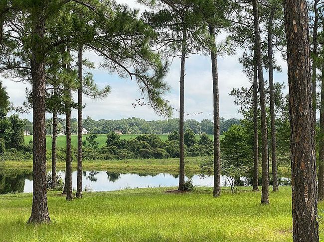 Image of 10544 Burkhalter Rd