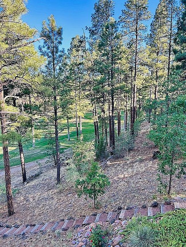 Photo of 2720 W Billy May Fair Loop, Show Low, AZ