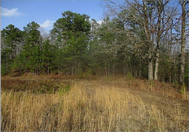 Image of 1385 Highway 104 S
