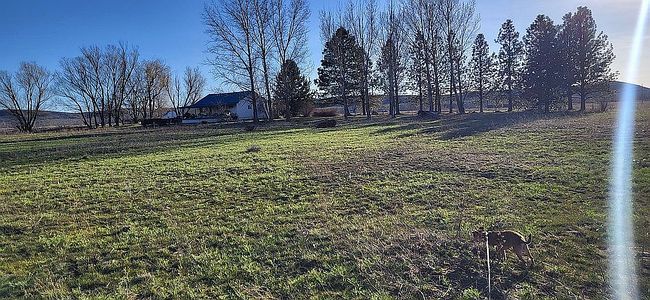 Photo of 1032 W Indian Valley Rd, Indian Valley, ID