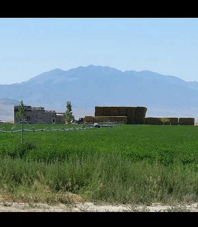 Photo of 1 Reynolds Farm, Tonopah, NV