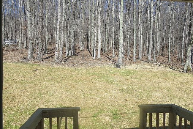 Image of 2736 Zenith Rd