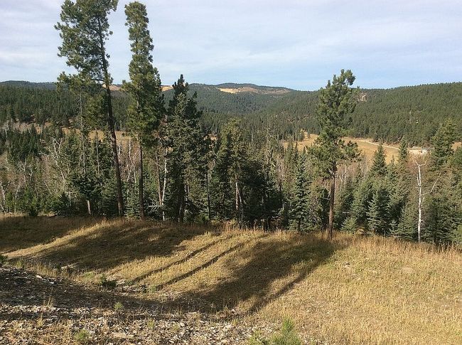 Photo of 21315 Spring Run Rd, Deadwood, SD