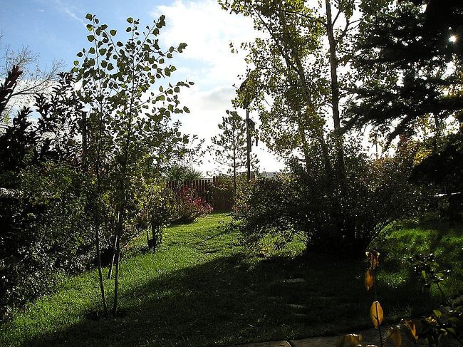 Image of 294 Red Canyon Rd