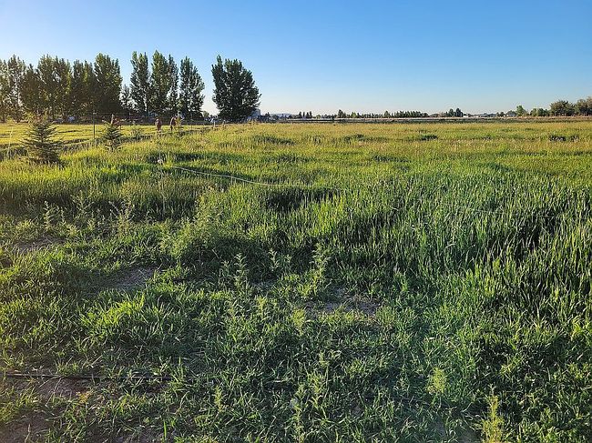 Image of 3733 E 38 N Lot 1