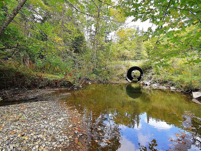 Photo of 233 Brook Rd, Chelsea, VT
