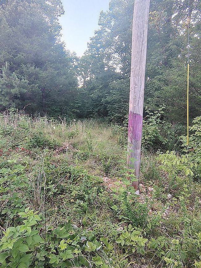 Photo of 1389 Peaceful Ln #5, Yellville, AR