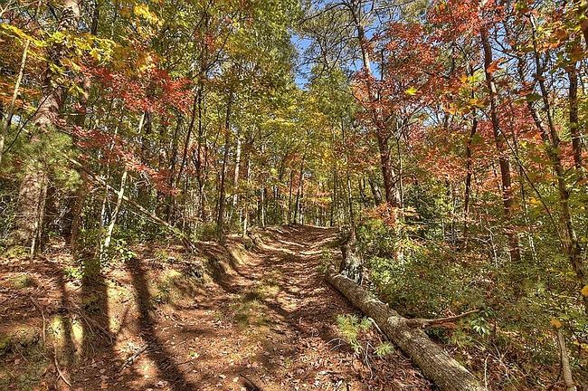 Photo of 0 Patterson Ln, Blue Ridge, GA