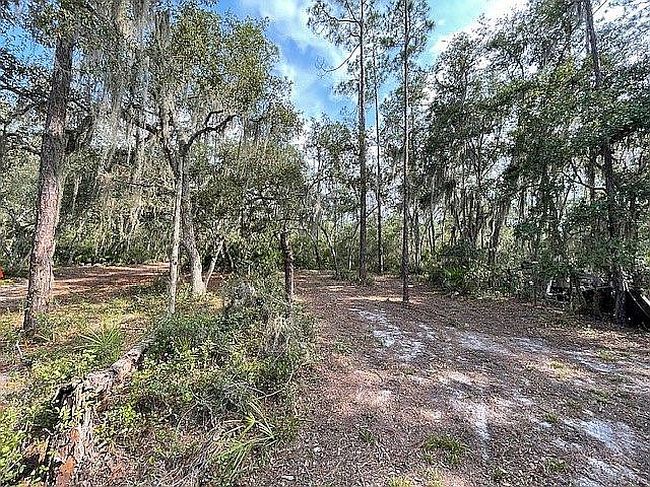 Image of 104 W Star Lake Dr