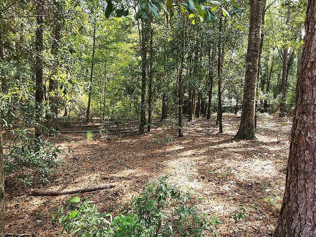 Photo of 535 Knob Hill Cir, Dothan, AL
