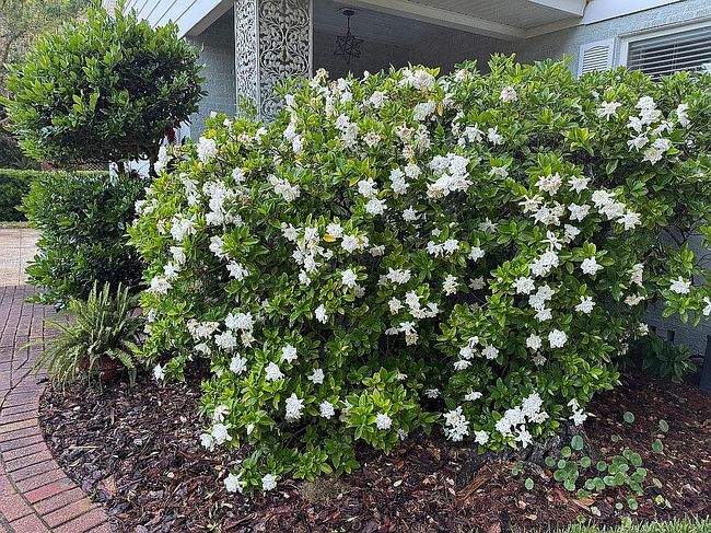 Photo of 1841 Donald St, Jacksonville, FL