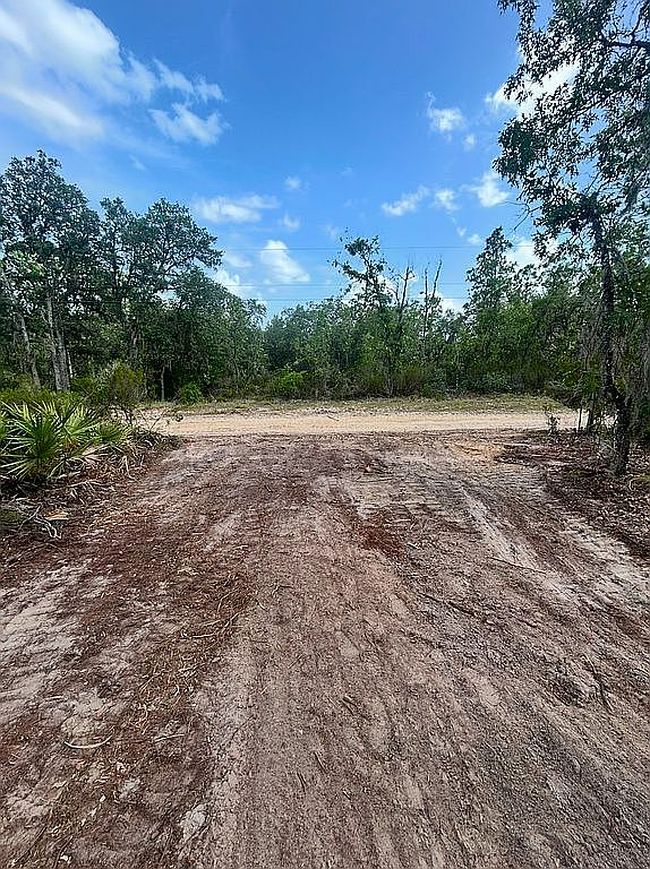 Photo of 0 Ne 92nd Pl, Bronson, FL