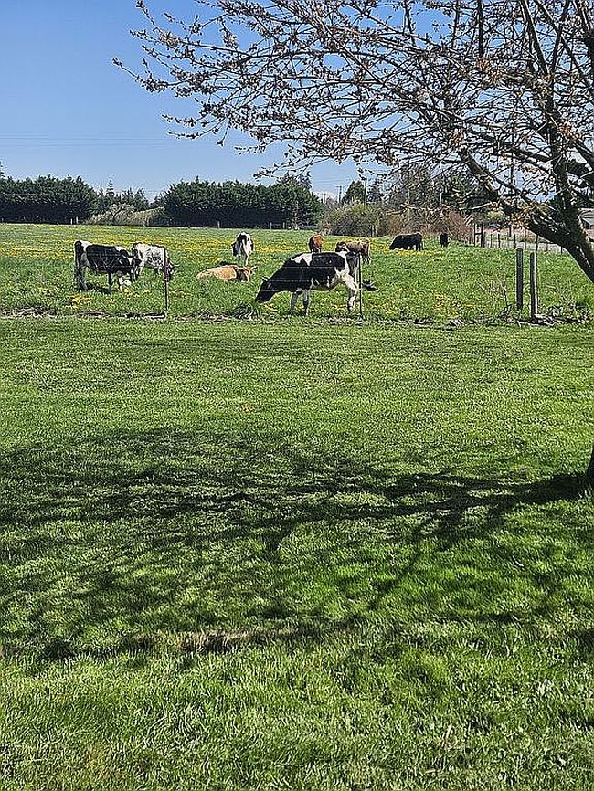 Photo of 851 Spath Rd, Sequim, WA