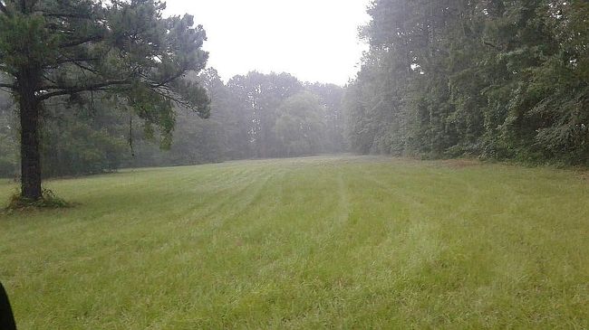 Photo of 17965 State Highway 31 E, Brownsboro, TX