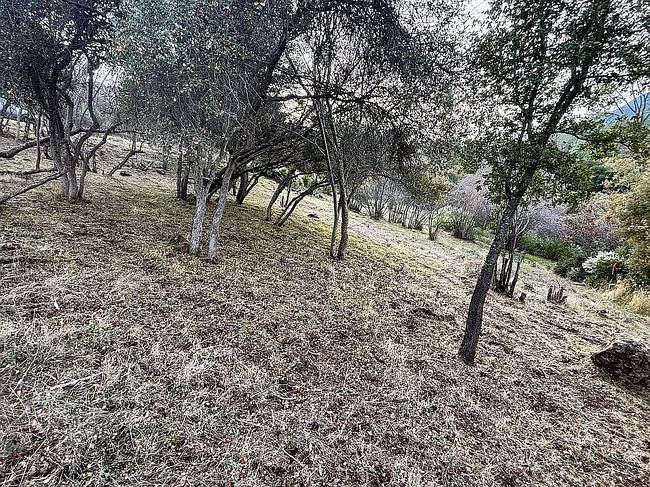 Image of 10634 Boren Bega Dr