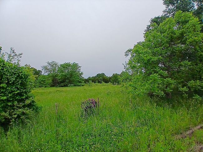 Photo of 12451 Bell Rd, Roby, MO