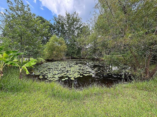 Photo of 3474 Roche Ave, Vernon, FL
