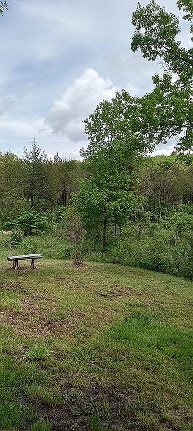 Photo of 478 County Road 2197, Berryville, AR