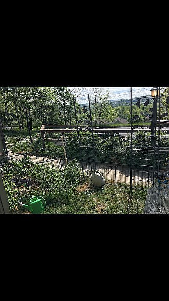 Photo of 528 Chestnut St #1, Ithaca, NY