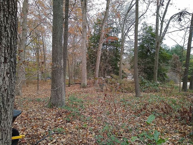 Photo of 24508 Old Meadow Rd, Seaford, DE
