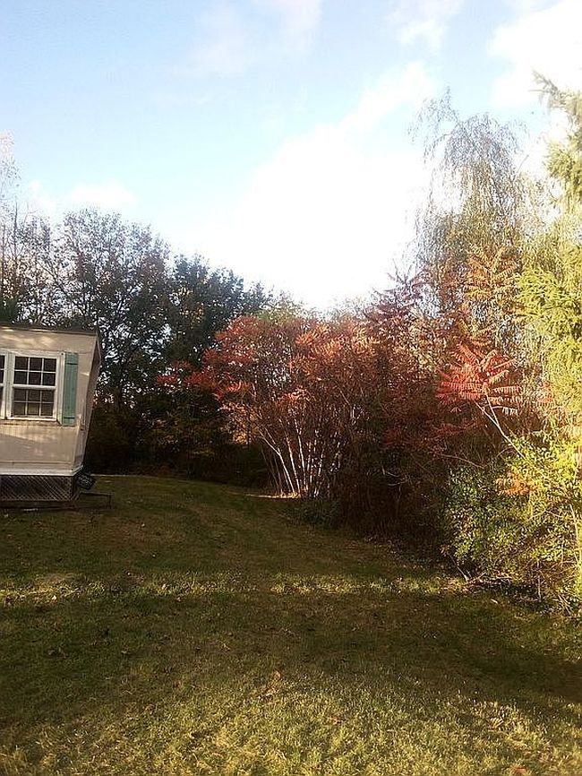 Image of 5675 Tousley Dr