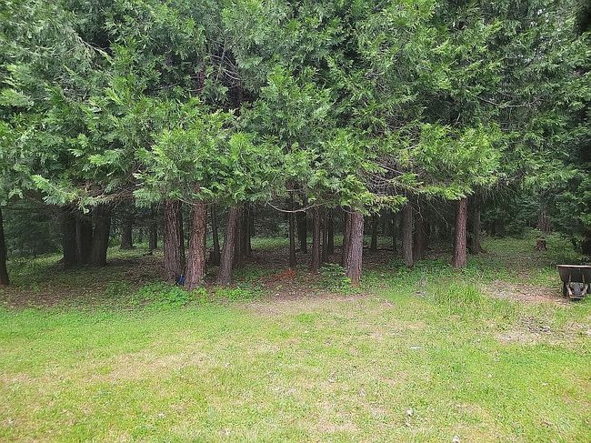 Photo of 7291 Rice Valley Rd, Oakland, OR